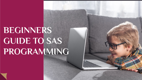 Complete BEGINNERS GUIDE TO SAS PROGRAMMING