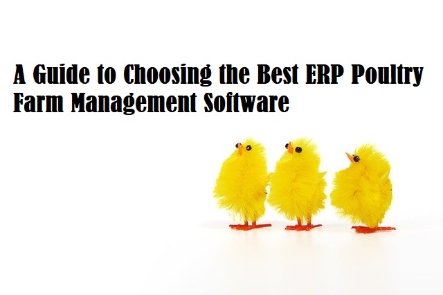 A Guide to Choosing the Best ERP Poultry Farm Management Software