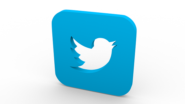 Why Twitter Likes Are So Important For Online Business?